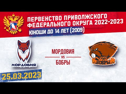 Мордовия-Бобры 25.03.2023