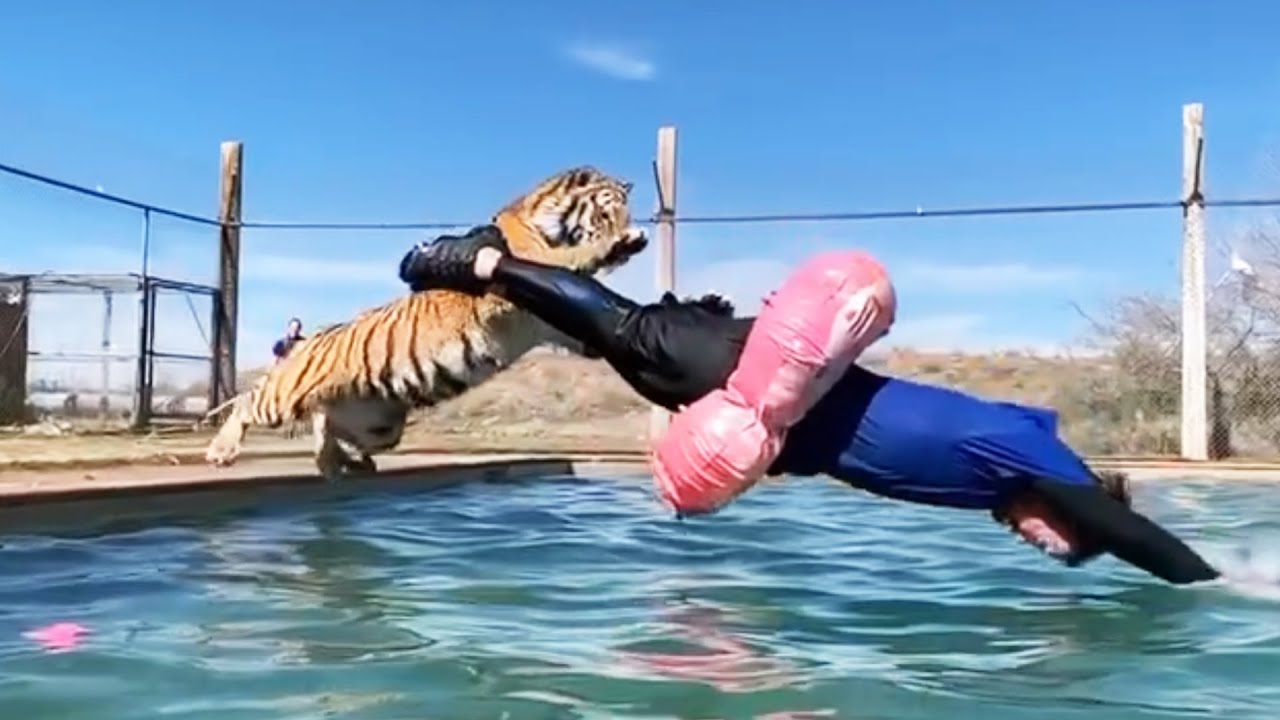 カメラが捉えた最も素晴らしい瞬間!