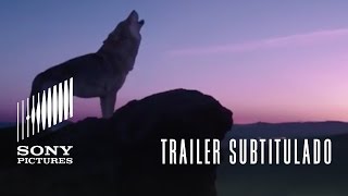 TÓTEM LOBO | Trailer oficial subtitulado (HD)