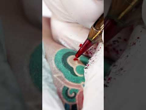 Pitta KKM - Dancheong Band #shorts