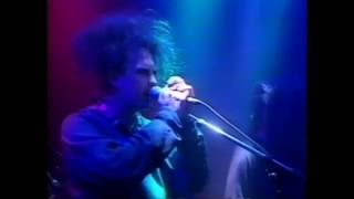 Harold and Joe - The Cure