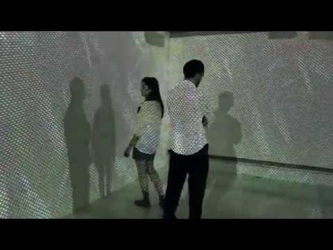 Scott Draves Immersive Projection