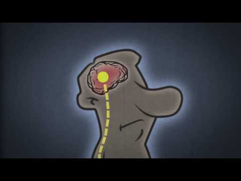 Crackdown 2 Animated Mini-series episode 3