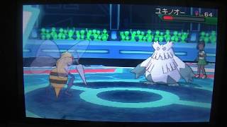 スピアーの害悪戦術【ウルトラサンムーン】
