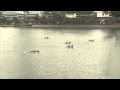 Men's Pairs Rowing Final - Singapore 2010 Youth Games