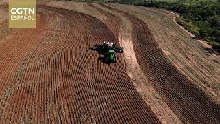 Presidente de CNA afirma que China equilibra el mercado internacional