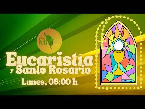 Eucaristía en memoria de los Santos Carlos Lwanga y compañeros y Santo Rosario, 3 de junio de 2024.