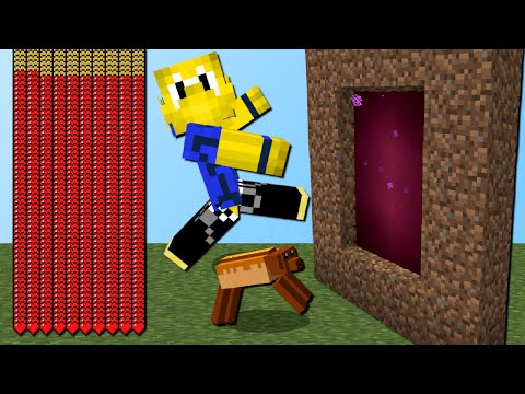 DO NOT build a portal out of EARTH!  (10,000 hearts, stupid mobs) - Minecraft Stupid