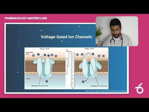 Voltage Gated Ion Channels | Masterclass PRO Snippet | 6med