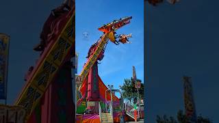 People Falls From Extreme Rides