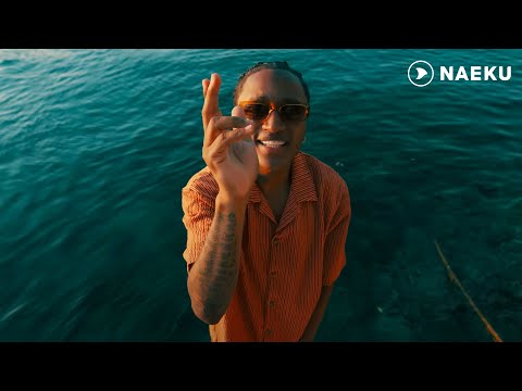 Zaider - Vive La Vida  (Video Visualizer)