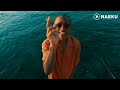 Zaider Vive La Vida Video Visualizer