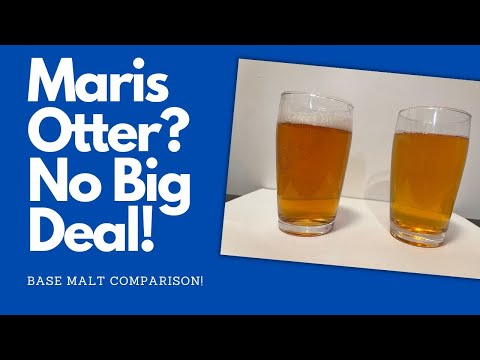 Maris Otter Vs. American 2-Row - Base Malt Comparison!