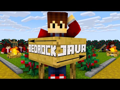 Which version of Minecraft should I buy |  Minecraft Bedrock or Minecraft Java?  |  LarsLP