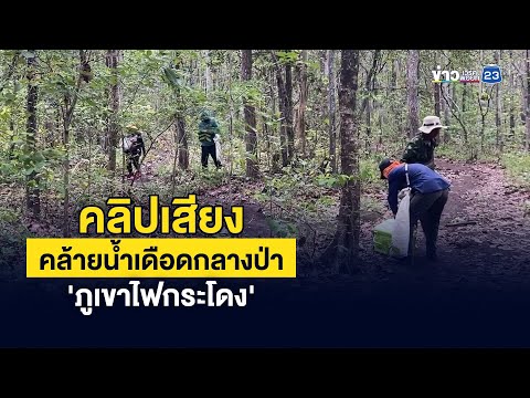 คลิกเพื่อดูคลิปวิดีโอ