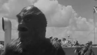 Groovie Ghoulies - Fun In The Dark