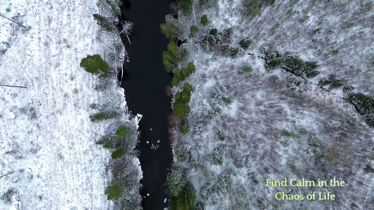 Meditate to Relax Your Mind: Techniques and Benefits