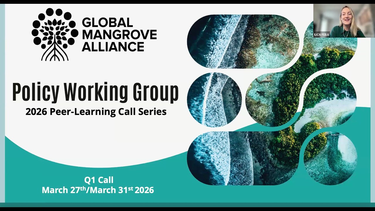 Policy Working Group 2026 Webinar