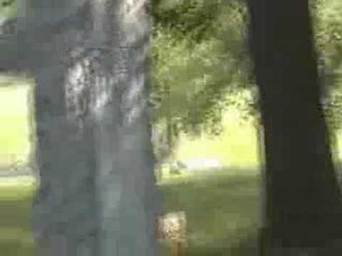 Archer Woods Cemetery Video 1