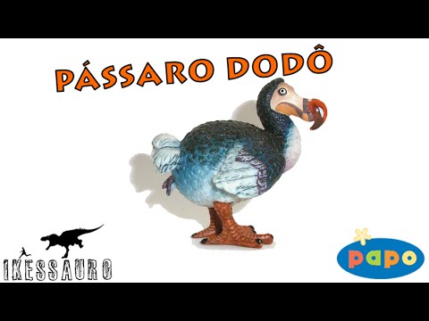 download lagu mp3 mp4 Dodo Papo, download lagu Dodo Papo gratis, unduh video klip Download Dodo Papo Mp3 dan Mp4 Music Online Gratis