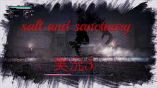 salt  and  sanctuary 実況  5