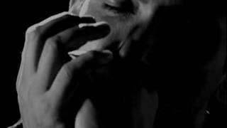 PAUL KELLY - Love Never Runs On Time