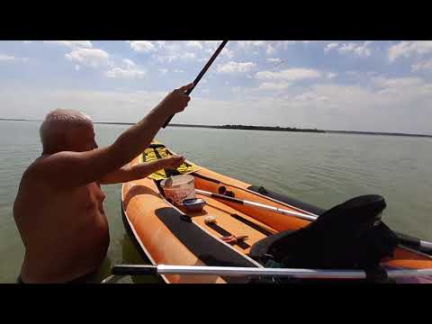 Pescuit Mostistea mare