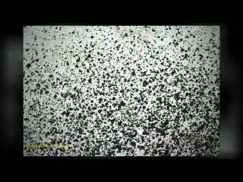 ESCAPES INTO LACER/ACTIONS (WITH MACKINTOSH BRAUN SOUND)