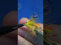 Tippet Octopus Wet Fly #shorts