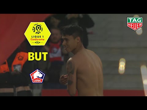 But Luiz ARAUJO (88') / LOSC - Angers SCO (5-0)  (LOSC-SCO)/ 2018-19
