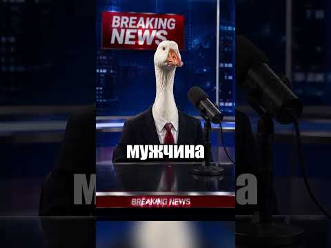 Секрет бургера
