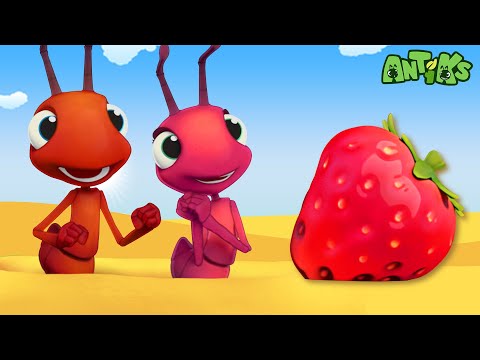 download lagu mp3 mp4 Formiga Marrom, download lagu Formiga Marrom gratis, unduh video klip Formiga Marrom