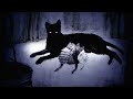 Black Cat - David Gilmour (2024)
