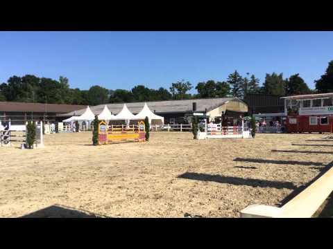 Collincor- Hengststaition Vornholt, Sieger Springpferde Prüfung