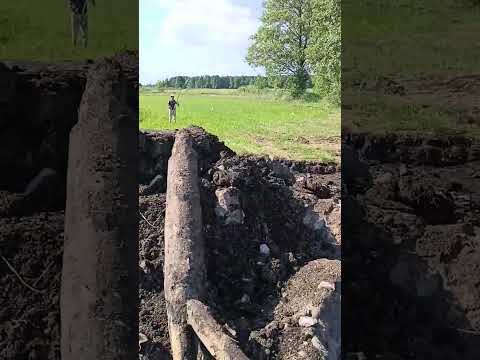 10 października 2024