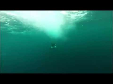 Orca Whale Following A Boat