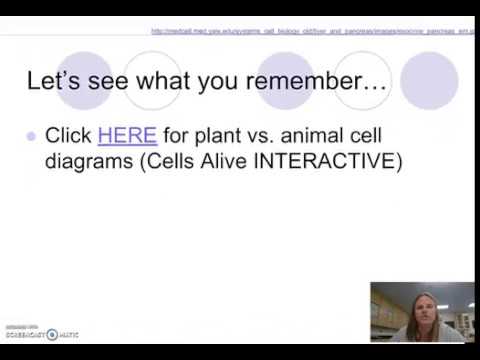AP_IB Bio - Unit-03 - Cell Organelles - Slides 76-86