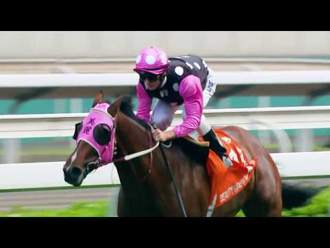 [FWD Champions Day 2020] Champions Mile Teaser