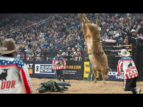 The best Bucking Bull Moments PBR 2022