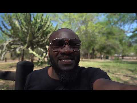 vp-tech07