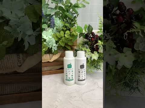 園芸 ニーム、インドニーム、インドスギ、インドライラック、インドアザディラ