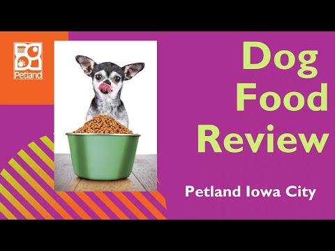 Dog Food Review