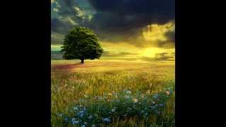 Joe Henderson - Happy Madness HD