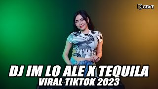Download lagu DJ IM LO ALE x TEQUILA REMIX BECAK VIRAL TIKTOK 2023 FULL BASS mp3