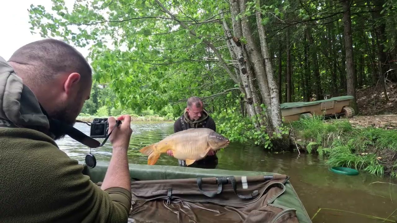 52lb Mirror  - French Carp Fishing - Etang Negreloube