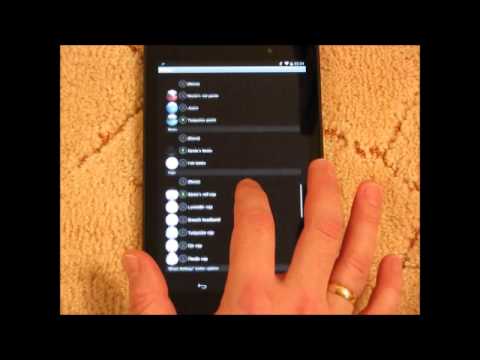 Christmas & Winter Teddy Video