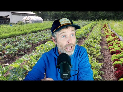 Crop Rotations in a Small Garden + Lettuce Diseases