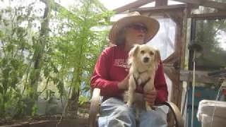 A Great Week For Monsanto, Haliburton, Caterpillar, and Rich Folks: Economic Meltdown 7/24/17