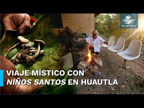 Ceremonia con Hongos Sagrados, la medicina ancestral que resiste a la despenalización