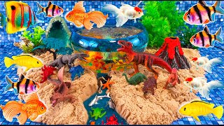 Colorful dinosaurs, glofish tetra, snake, angelfish, goldfish, catfish, cichlid, betta fish DIY lava